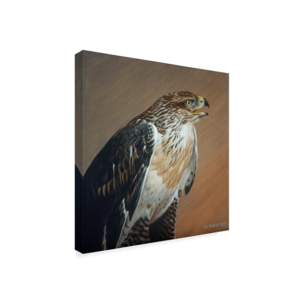 Ron Parker 'Ferruginous Hawk' Canvas Art,35x35